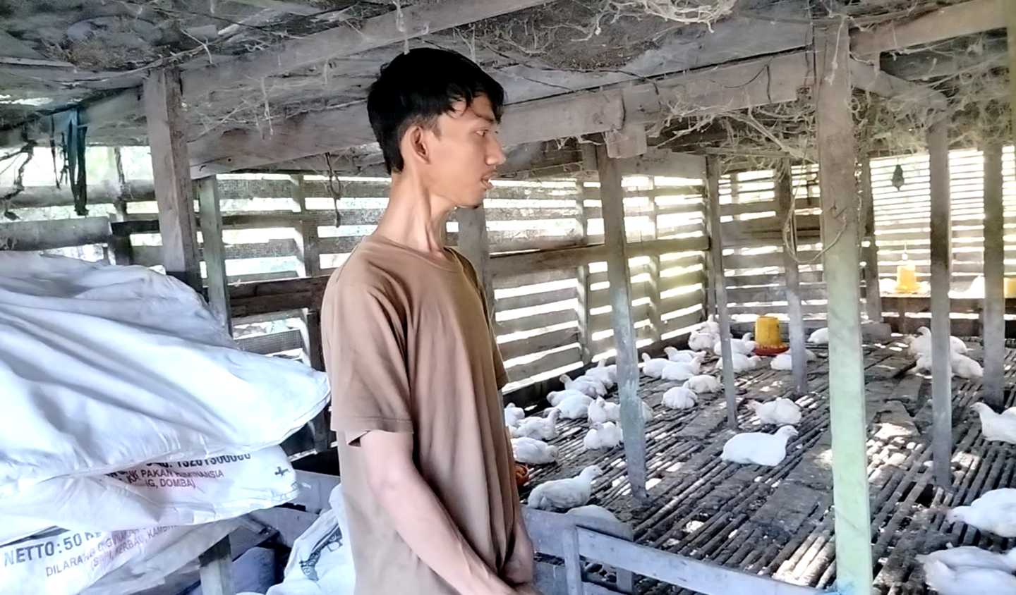 Keterangan Foto:Kandang ayam potong milik Junma, warga Kampung Tondoh, yang mampu menampung hingga 500 ekor ayam dan menjadi salah satu usaha ekonomi masyarakat setempat.