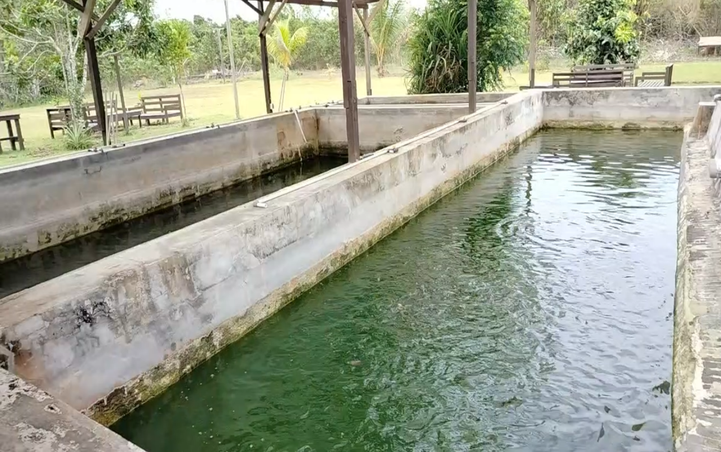Keterangan Foto:Kolam budidaya ikan nila milik Oetomo Darmilie di Kampung Tondoh, dengan kapasitas hingga 4.000 ekor, yang dikelola secara mandiri sejak tahun 2018.
